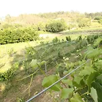 Quinta D'areda Wine&pool Experience * Fafe