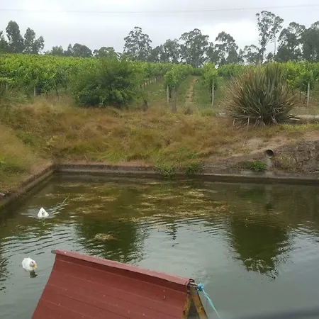 Quinta D'areda Wine&pool Experience * Fafe