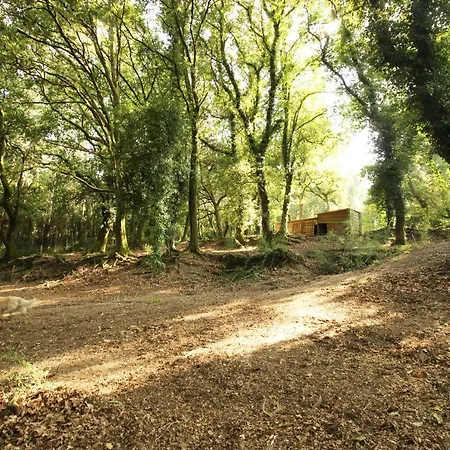 Летний дом Quinta D'areda Wine&pool Experience Фафи