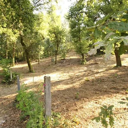 Quinta D'areda Wine&pool Experience * Фафи