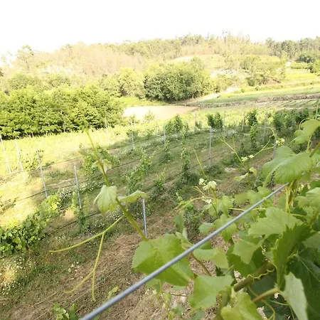 Quinta D'areda Wine&pool Experience * ファフェ