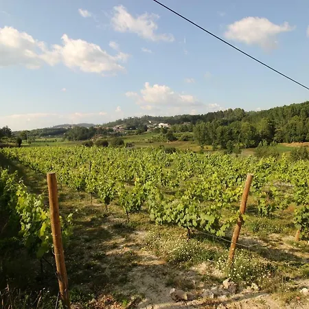 乡村民宿 Quinta D'areda Wine&pool Experience