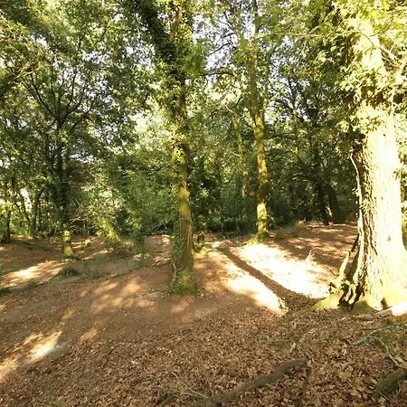 Quinta D'areda Wine&pool Experience Фафи