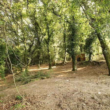 Quinta D'areda Wine&pool Experience Летний дом Фафи