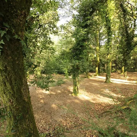 Quinta D'areda Wine&pool Experience Casa de Campo Fafe