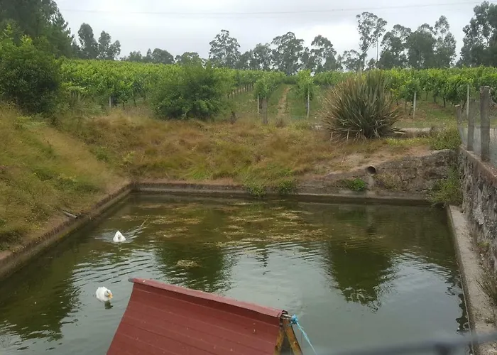 Quinta D'areda Wine&pool Experience * Fafe