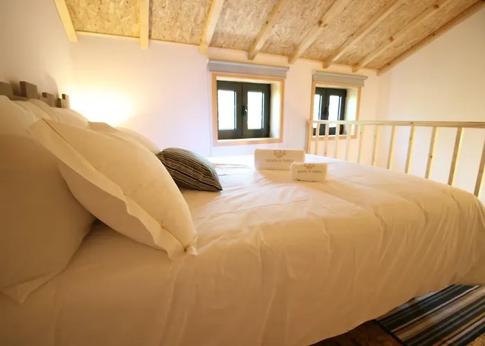 Quinta D'areda Wine&pool Experience Gospodarstwo wiejskie *