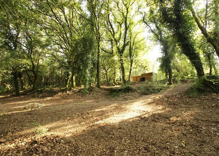 Casa di campagna Quinta D'areda Wine&pool Experience Fafe