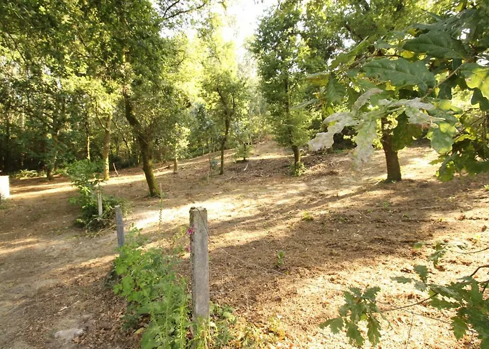 Quinta D'areda Wine&pool Experience * Fafe