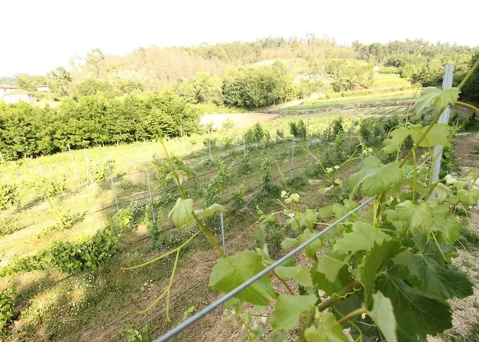 Quinta D'areda Wine&pool Experience * Fafe