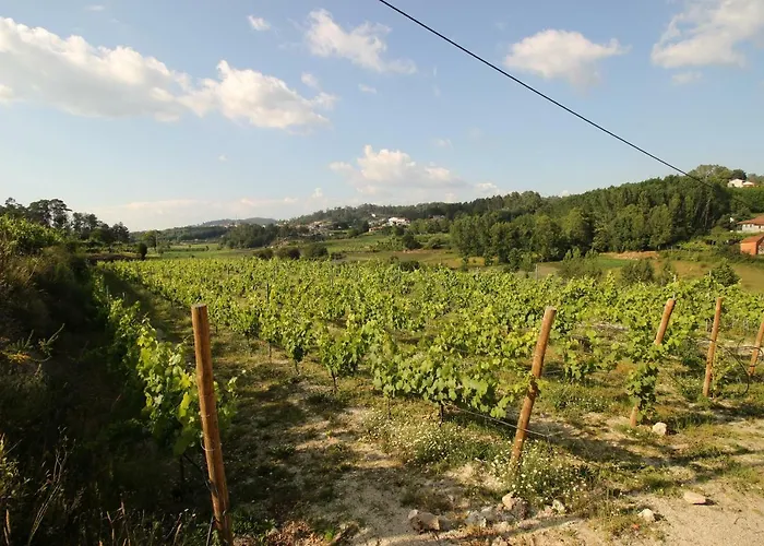 Εξοχικό σπίτι Quinta D'areda Wine&pool Experience