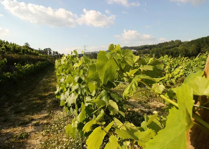 Quinta D'areda Wine&pool Experience Εξοχικό σπίτι Fafe