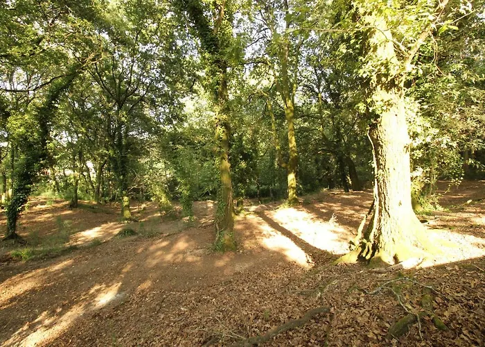 Quinta D'areda Wine&pool Experience Fafe