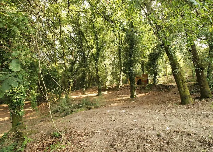 Quinta D'areda Wine&pool Experience Casa rural Fafe