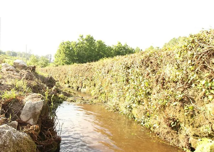 Εξοχικό σπίτι Quinta D'areda Wine&pool Experience *