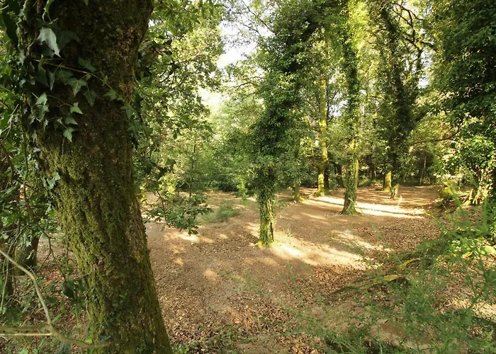 Quinta D'areda Wine&pool Experience Casa rural Fafe